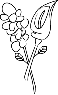 SoftBrands by Dro LLC logo